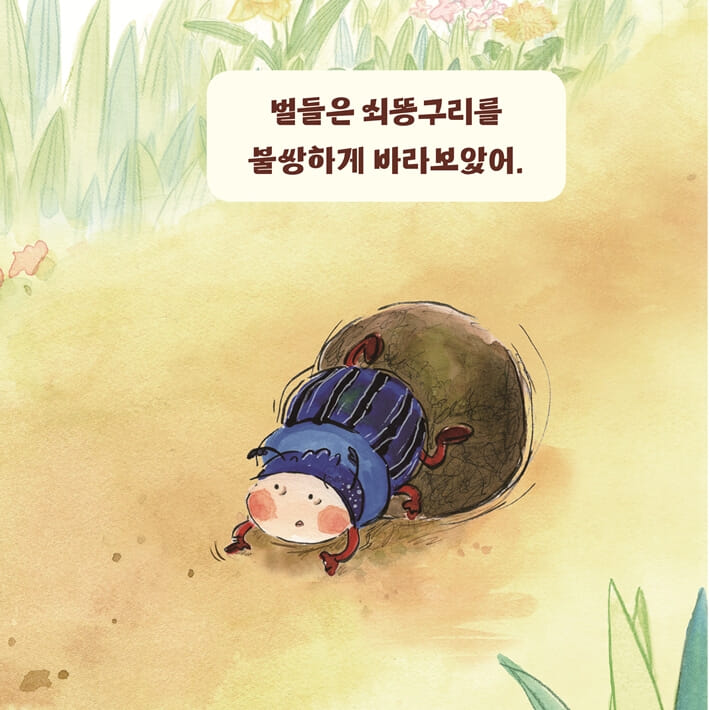 카드뉴스5
