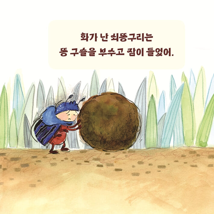 카드뉴스6