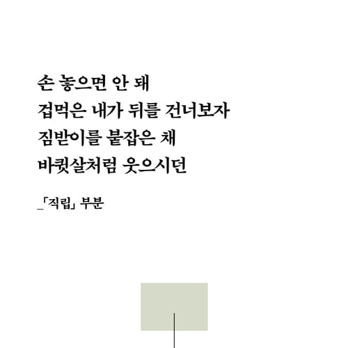 카드뉴스2