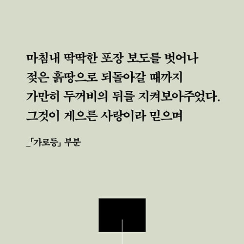 카드뉴스3