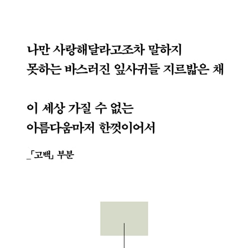 카드뉴스4
