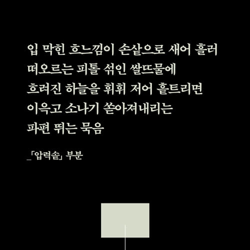 카드뉴스5