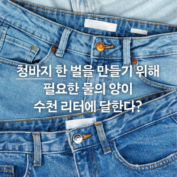 카드뉴스1