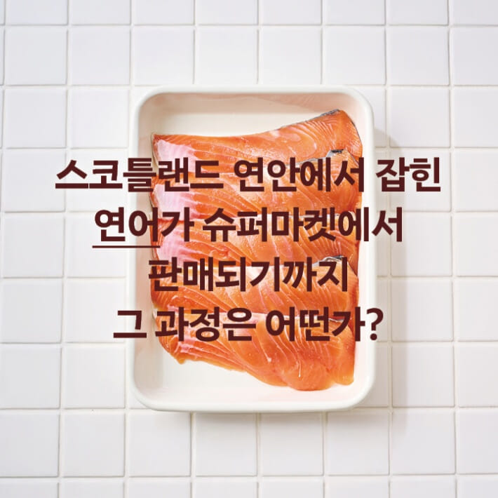 카드뉴스2