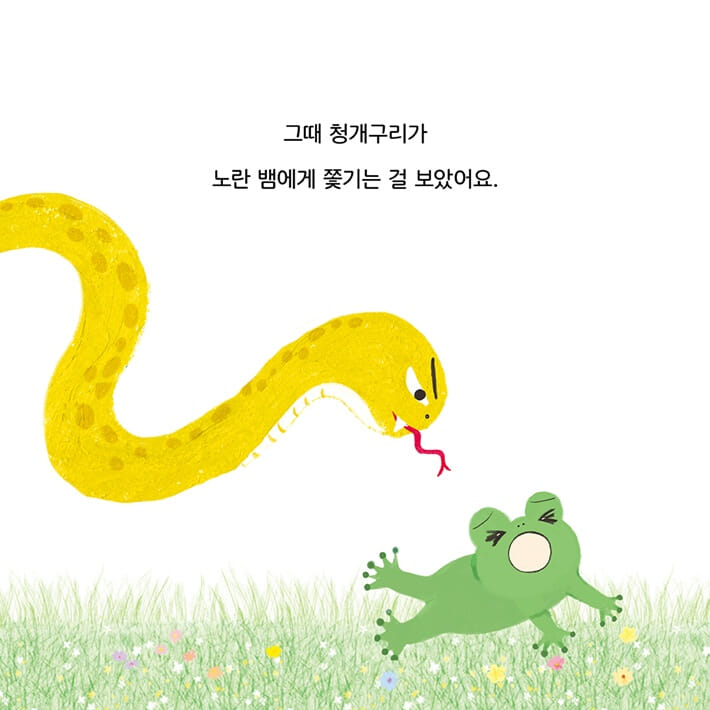 카드뉴스4