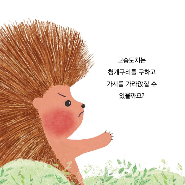 카드뉴스5