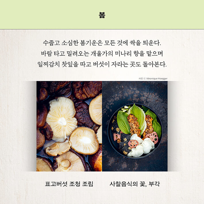 카드뉴스6