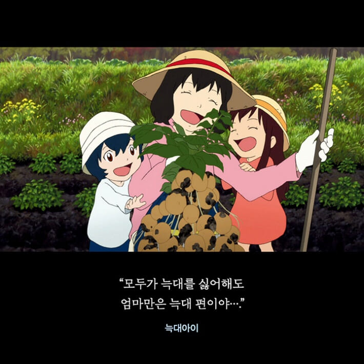 카드뉴스5