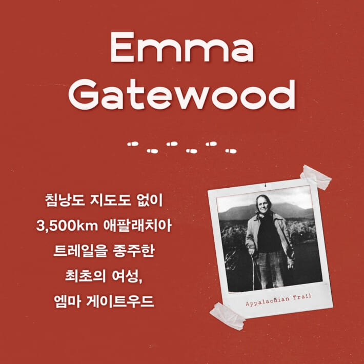 카드뉴스4