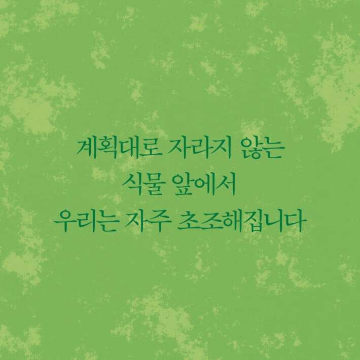 카드뉴스1