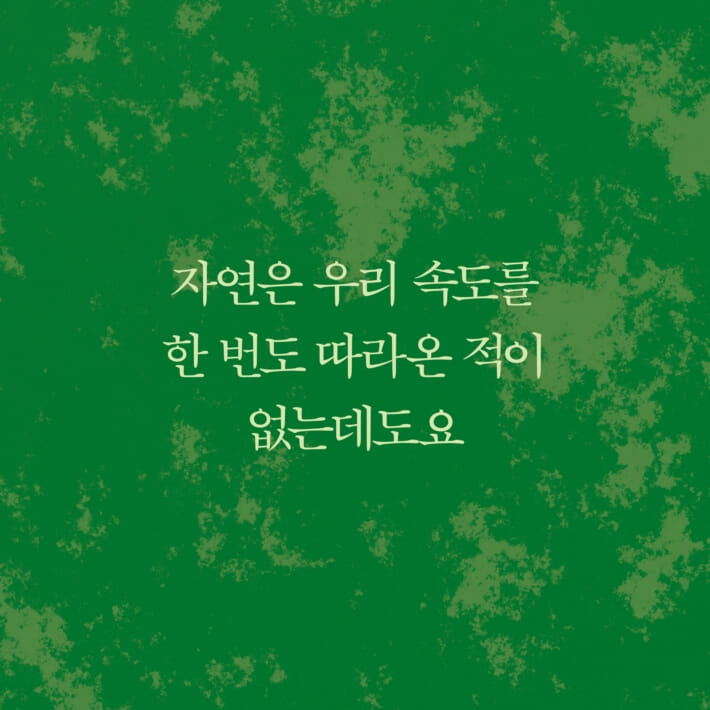 카드뉴스2