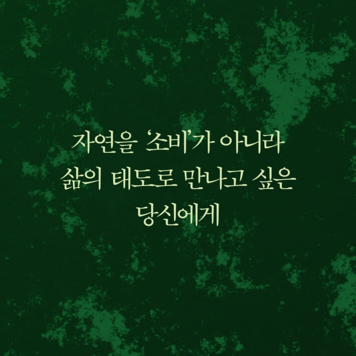 카드뉴스6