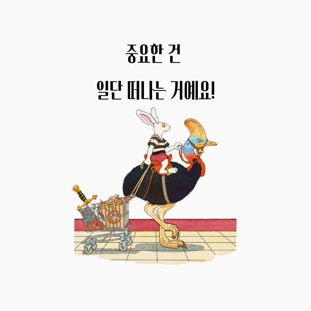 카드뉴스4