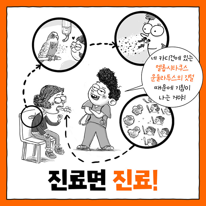 카드뉴스2