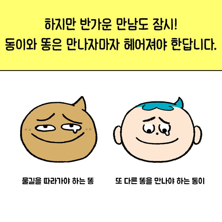 카드뉴스6