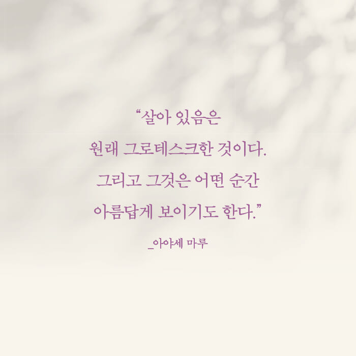 카드뉴스4