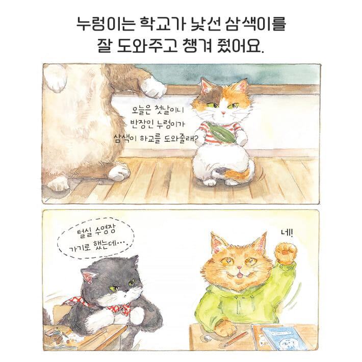 카드뉴스3