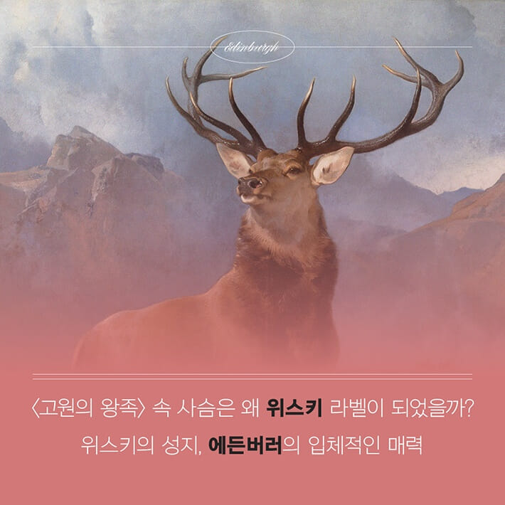 카드뉴스3