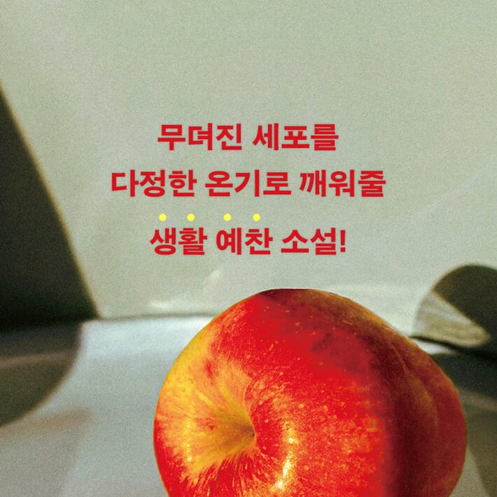 카드뉴스7
