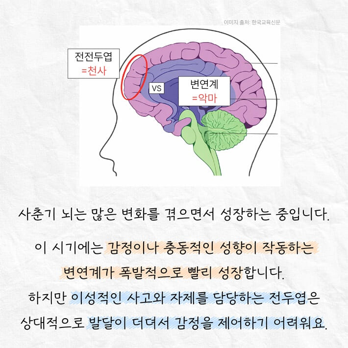 카드뉴스5