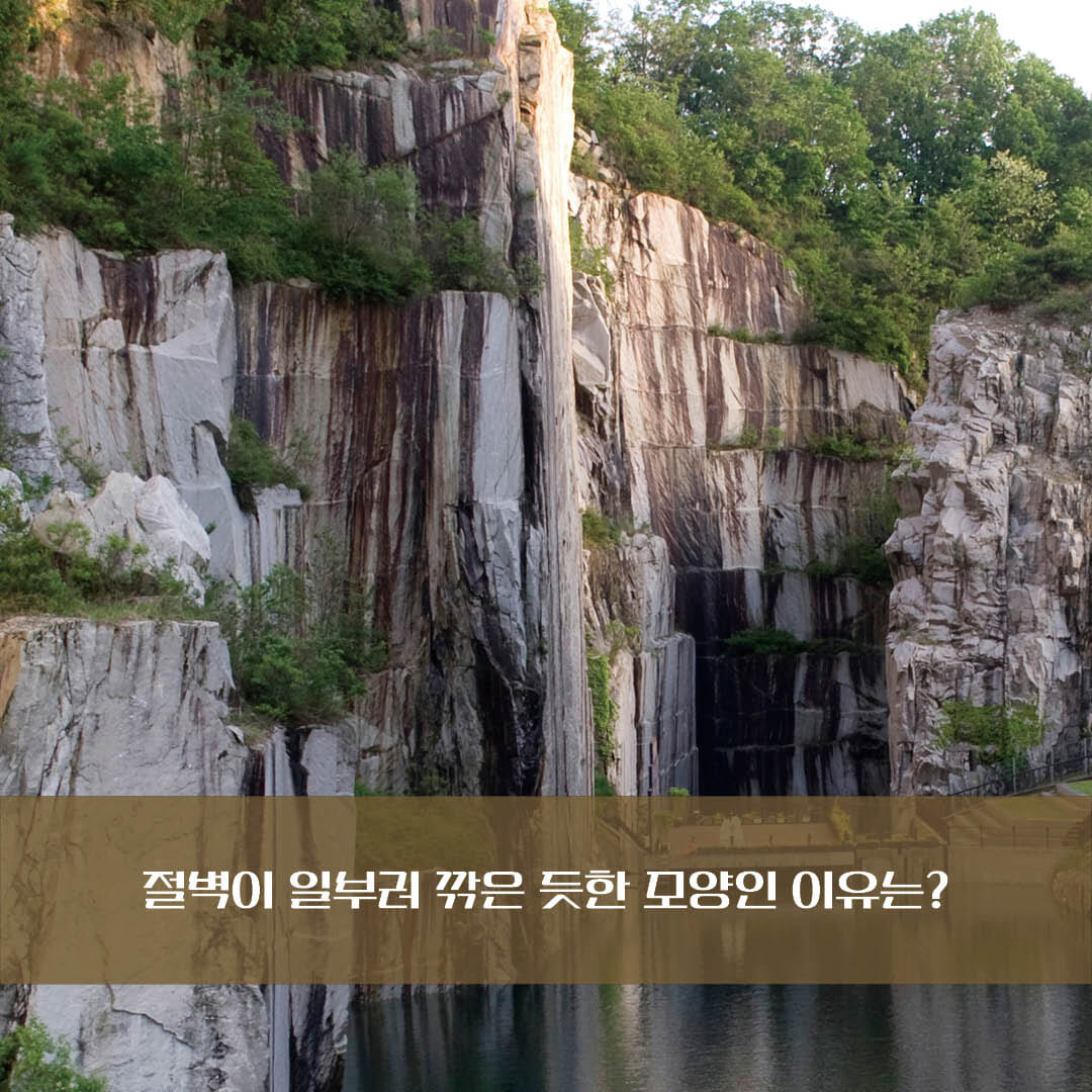 카드뉴스3