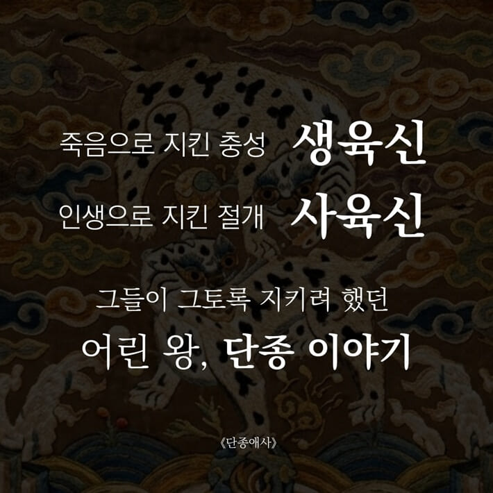 카드뉴스4