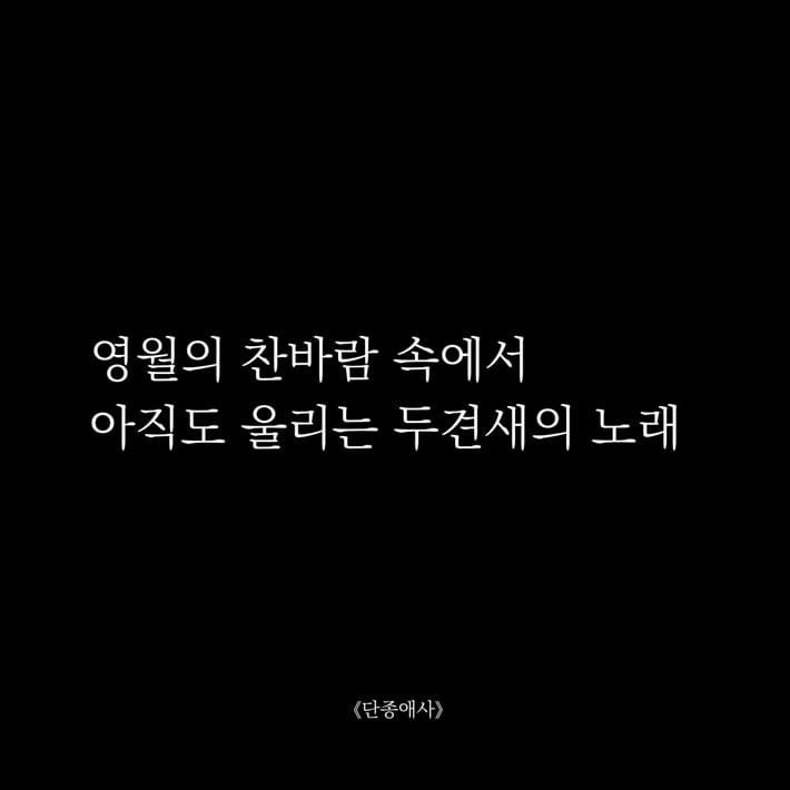 카드뉴스6