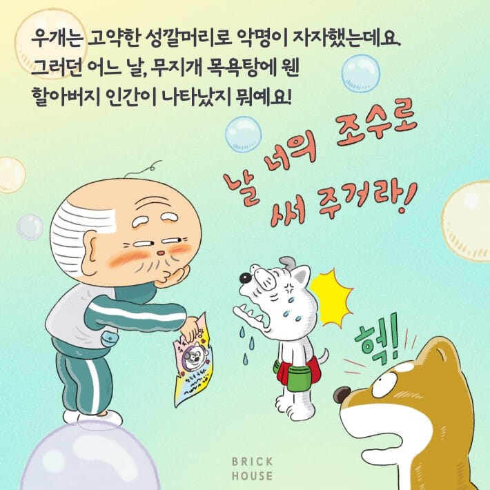 카드뉴스4