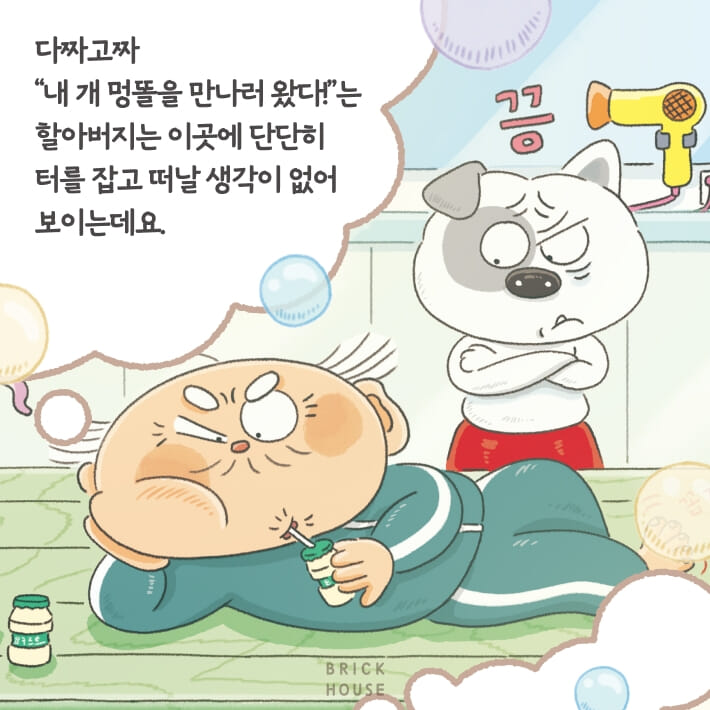 카드뉴스5