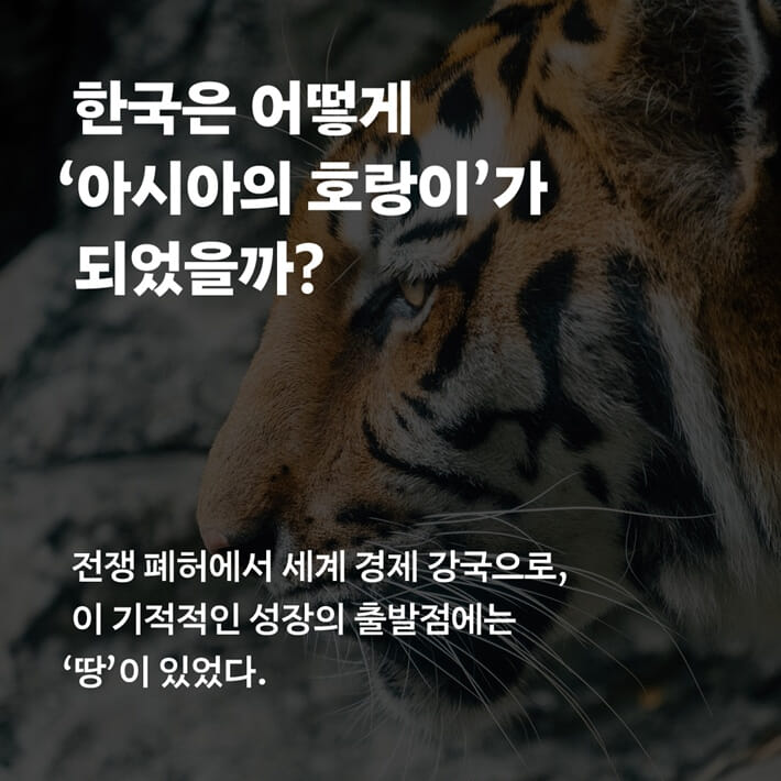 카드뉴스0