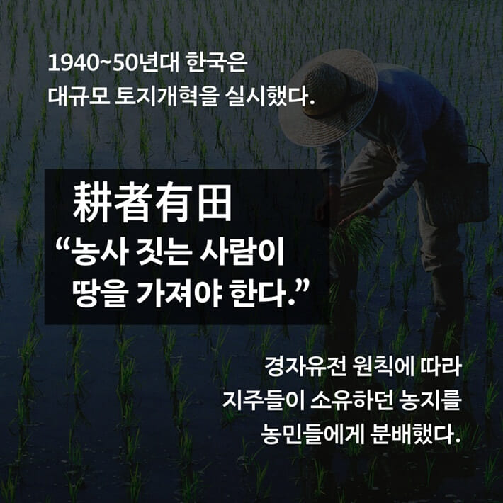 카드뉴스1