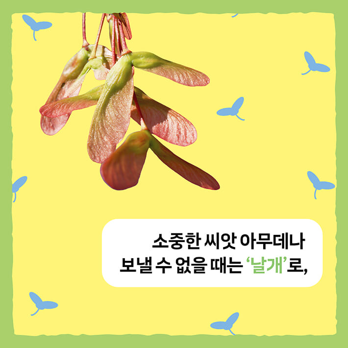 카드뉴스1