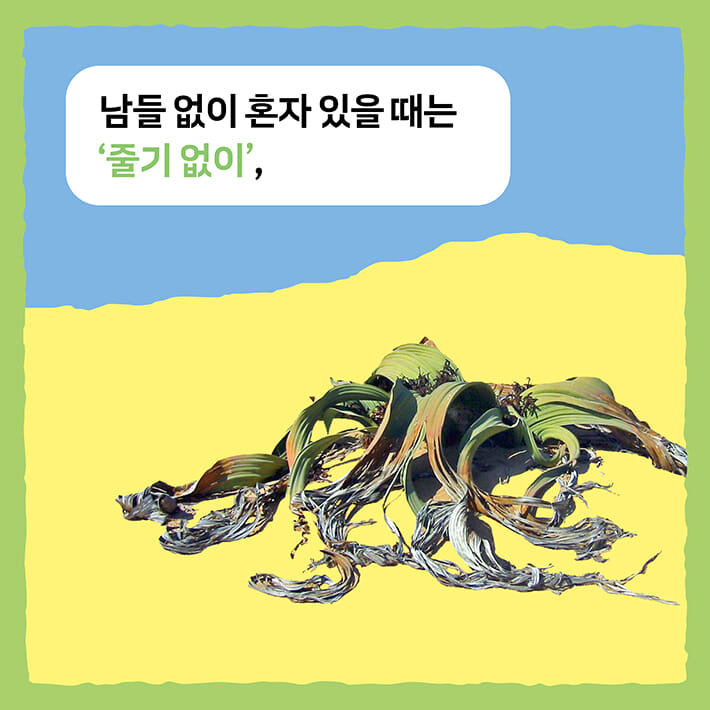 카드뉴스2