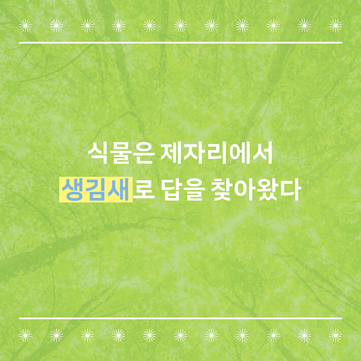 카드뉴스3