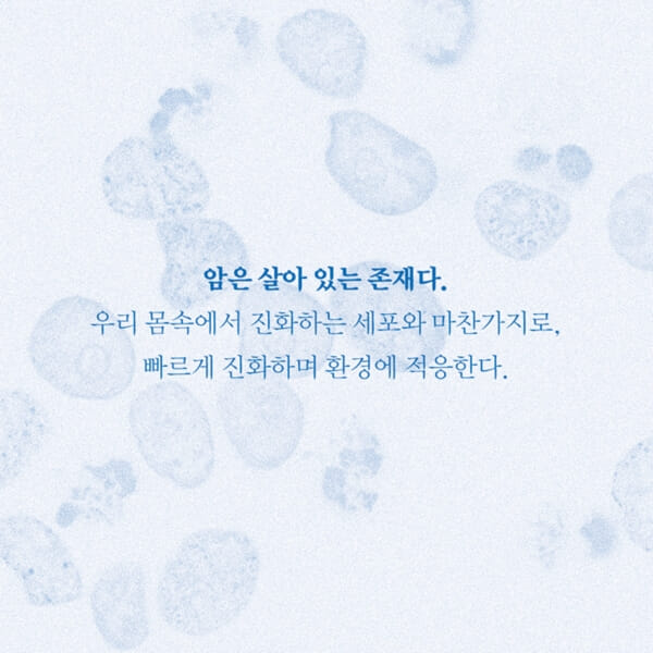 카드뉴스2