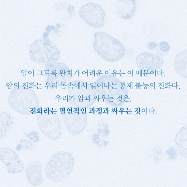 카드뉴스3