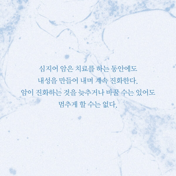 카드뉴스4