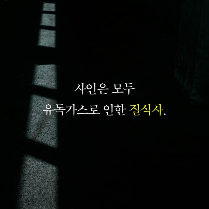 카드뉴스7