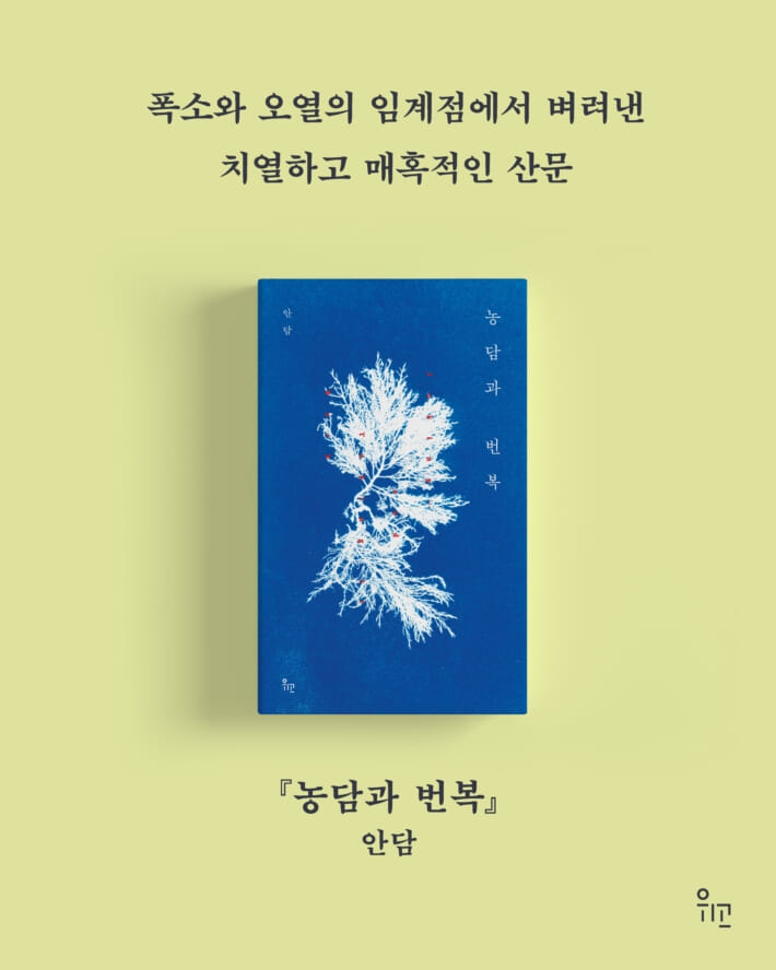 카드뉴스8