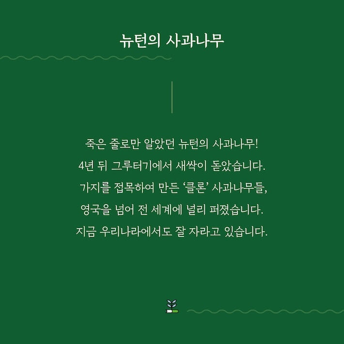 카드뉴스0