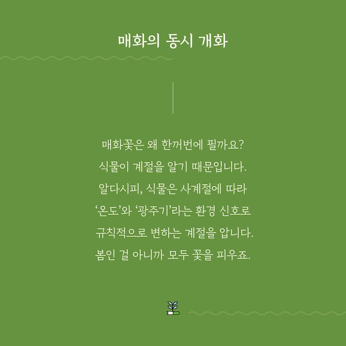카드뉴스2