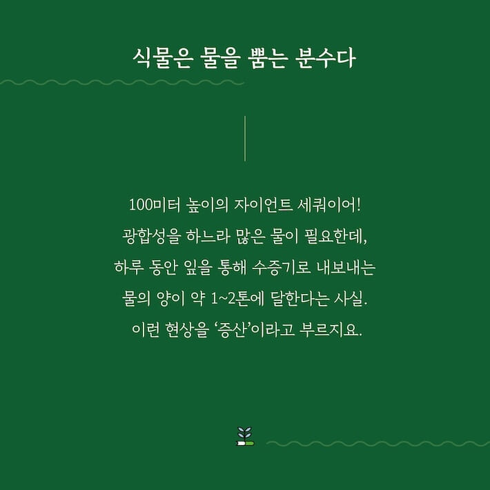 카드뉴스4