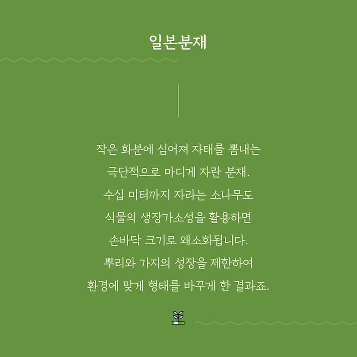카드뉴스6