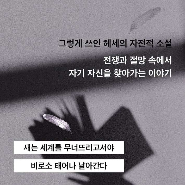 카드뉴스8