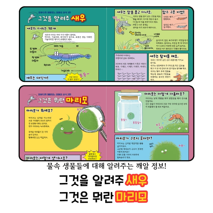 카드뉴스6