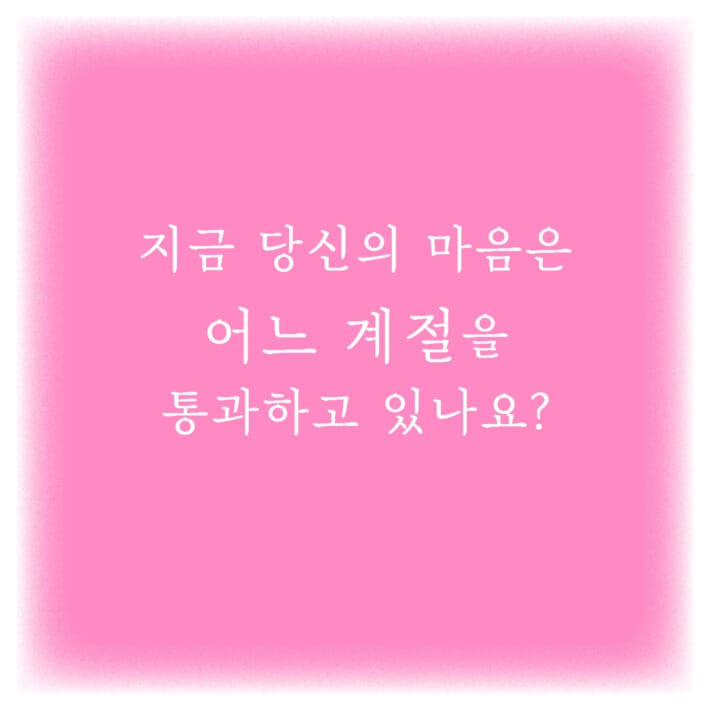 카드뉴스0