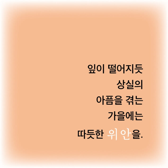 카드뉴스4