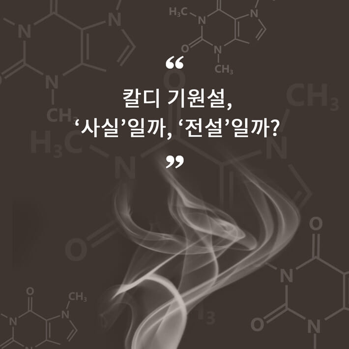 카드뉴스2