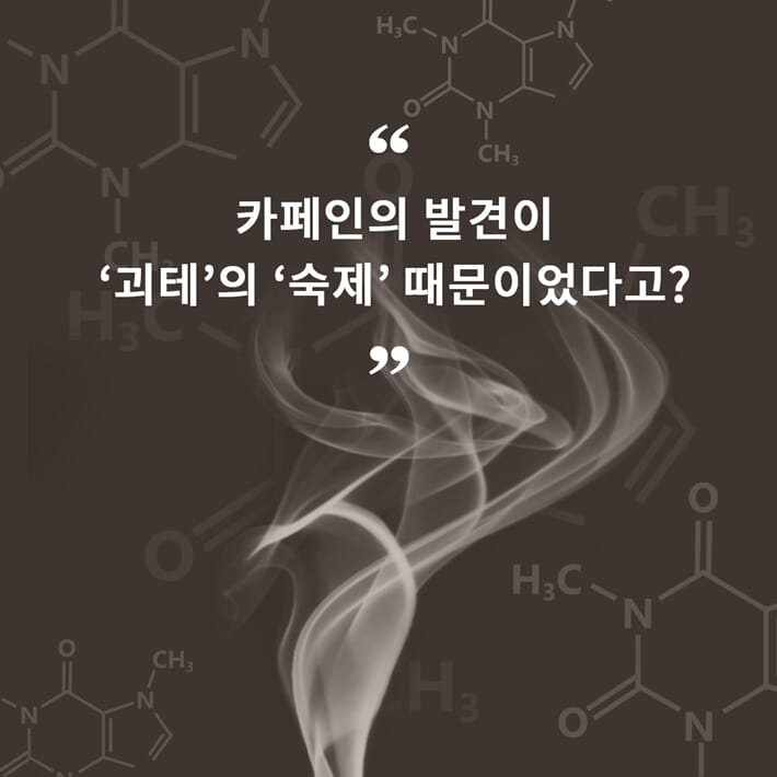 카드뉴스3