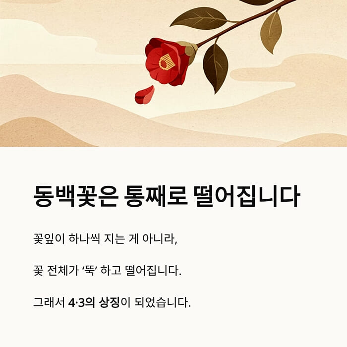 카드뉴스8
